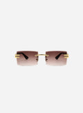 Vision - Brown